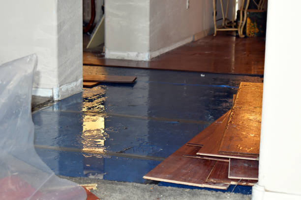 Professional Sewage Cleanup technician working in Lobelville, TN
